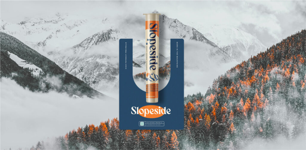 Slopeside branding at Hi Lo Design Co.