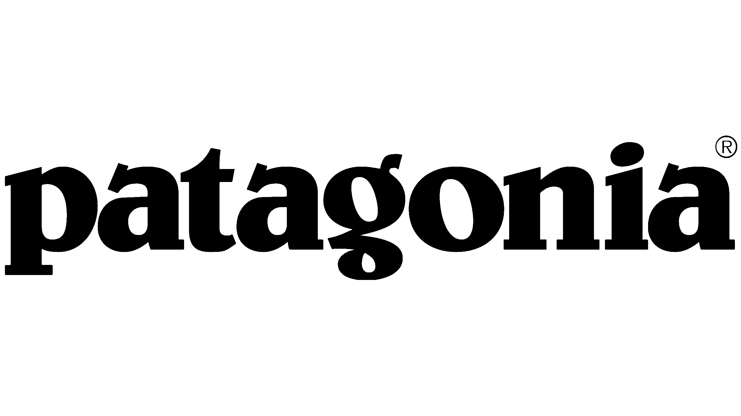 Patagonia Logo - A simple yet elevated design that uses subtle design choices to signal credibility.